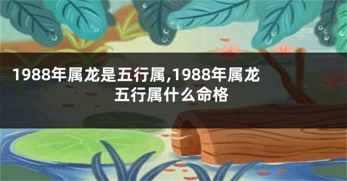 1988年属龙是五行属,1988年属龙五行属什么命格
