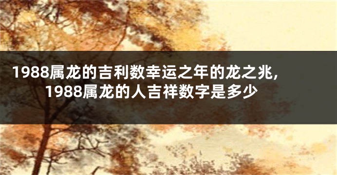 1988属龙的吉利数幸运之年的龙之兆,1988属龙的人吉祥数字是多少