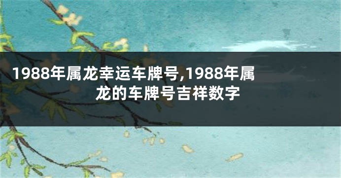 1988年属龙幸运车牌号,1988年属龙的车牌号吉祥数字