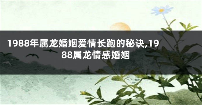 1988年属龙婚姻爱情长跑的秘诀,1988属龙情感婚姻