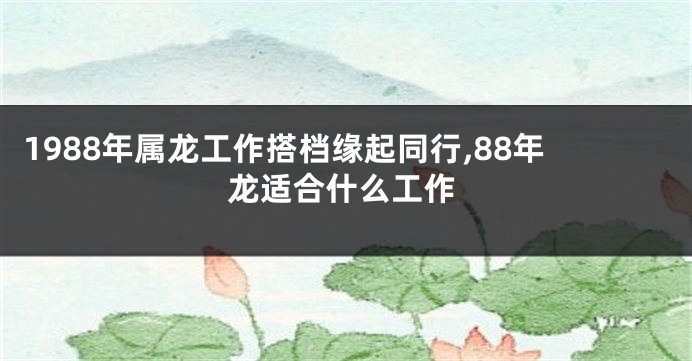 1988年属龙工作搭档缘起同行,88年龙适合什么工作