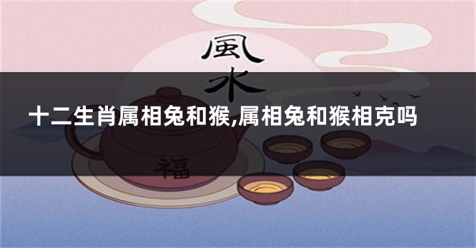 十二生肖属相兔和猴,属相兔和猴相克吗