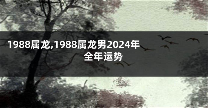 1988属龙,1988属龙男2024年全年运势