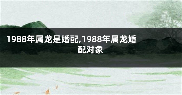 1988年属龙是婚配,1988年属龙婚配对象