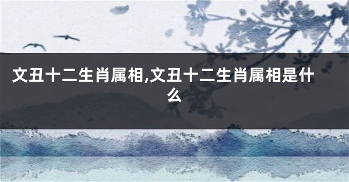 文丑十二生肖属相,文丑十二生肖属相是什么