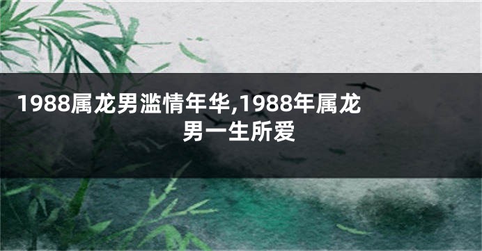 1988属龙男滥情年华,1988年属龙男一生所爱