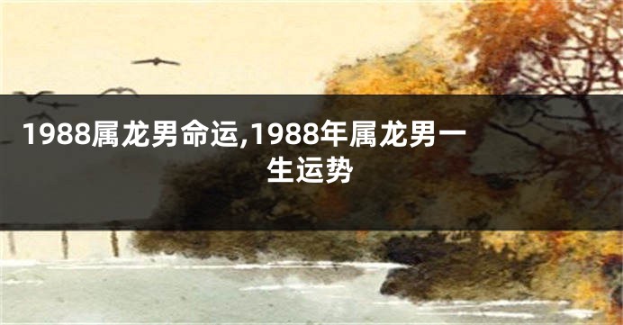 1988属龙男命运,1988年属龙男一生运势