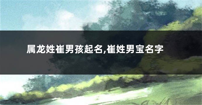 属龙姓崔男孩起名,崔姓男宝名字