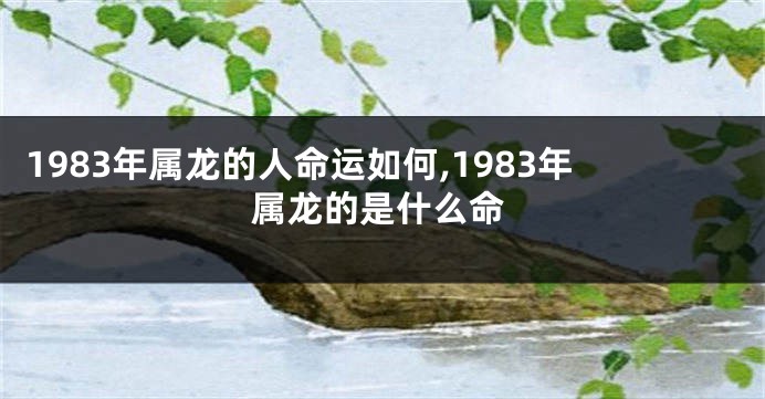 1983年属龙的人命运如何,1983年属龙的是什么命