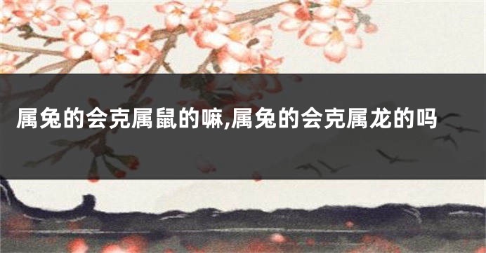 属兔的会克属鼠的嘛,属兔的会克属龙的吗
