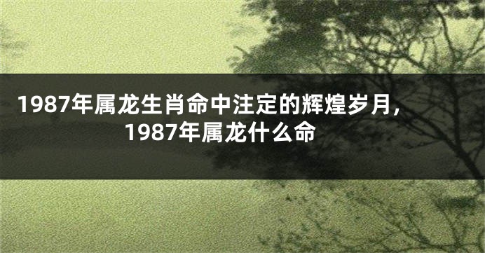 1987年属龙生肖命中注定的辉煌岁月,1987年属龙什么命