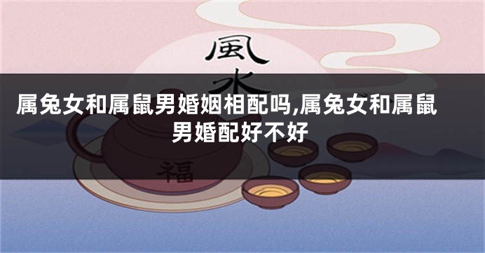 属兔女和属鼠男婚姻相配吗,属兔女和属鼠男婚配好不好