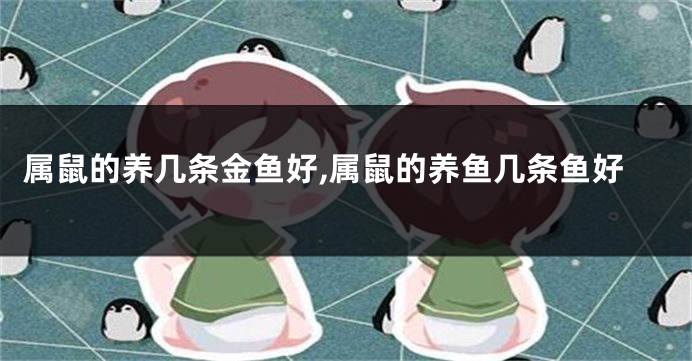 属鼠的养几条金鱼好,属鼠的养鱼几条鱼好