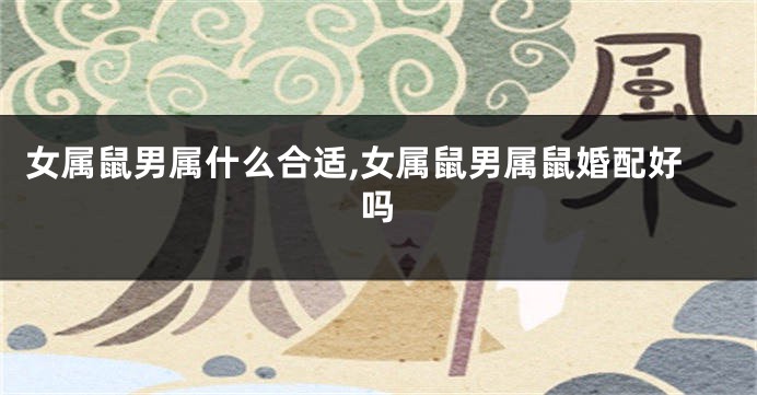 女属鼠男属什么合适,女属鼠男属鼠婚配好吗
