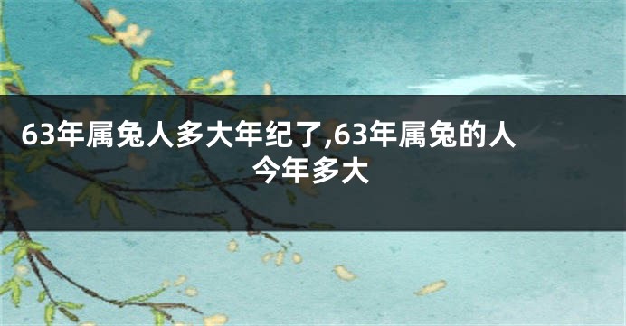 63年属兔人多大年纪了,63年属兔的人今年多大