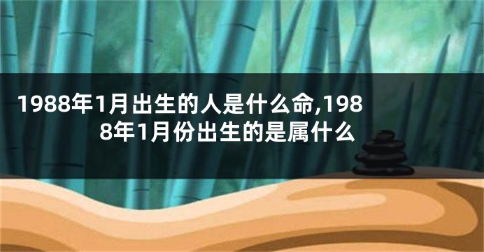 1988年1月出生的人是什么命,1988年1月份出生的是属什么