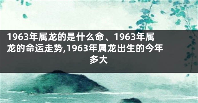 1963年属龙的是什么命、1963年属龙的命运走势,1963年属龙出生的今年多大