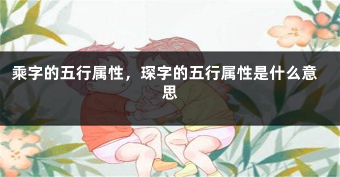 乘字的五行属性，琛字的五行属性是什么意思