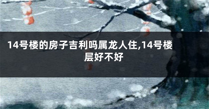 14号楼的房子吉利吗属龙人住,14号楼层好不好