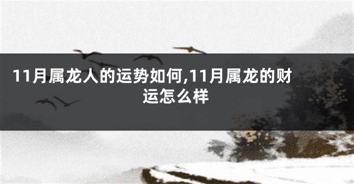 11月属龙人的运势如何,11月属龙的财运怎么样