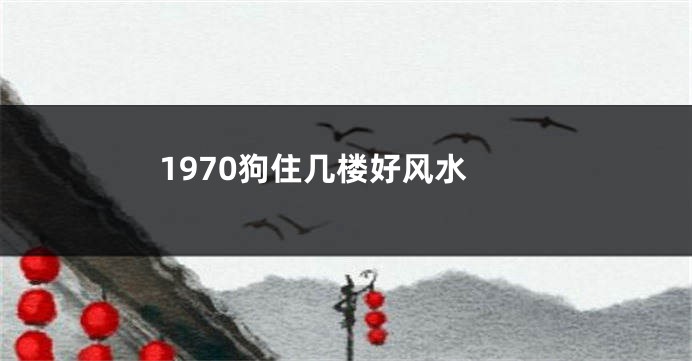 1970狗住几楼好风水