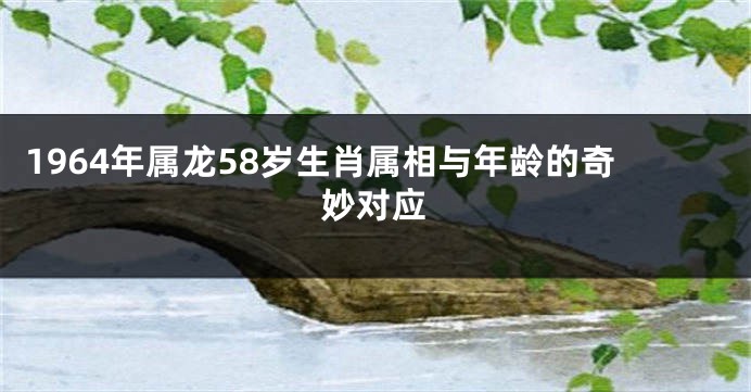 1964年属龙58岁生肖属相与年龄的奇妙对应