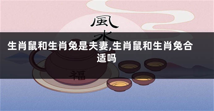 生肖鼠和生肖兔是夫妻,生肖鼠和生肖兔合适吗