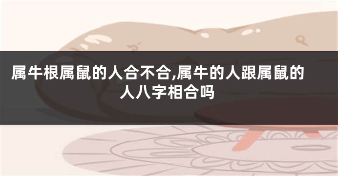 属牛根属鼠的人合不合,属牛的人跟属鼠的人八字相合吗
