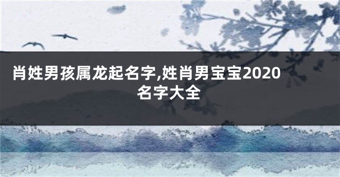 肖姓男孩属龙起名字,姓肖男宝宝2020名字大全