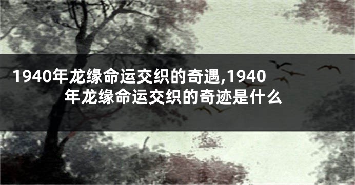 1940年龙缘命运交织的奇遇,1940年龙缘命运交织的奇迹是什么