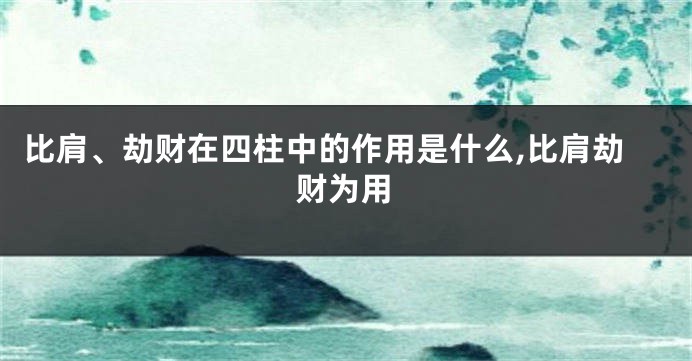 比肩、劫财在四柱中的作用是什么,比肩劫财为用