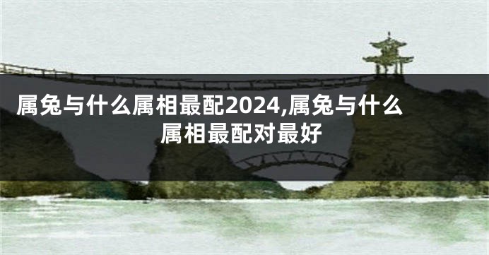 属兔与什么属相最配2024,属兔与什么属相最配对最好