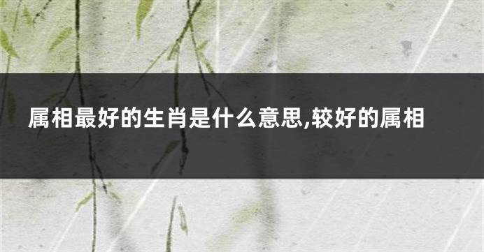 属相最好的生肖是什么意思,较好的属相