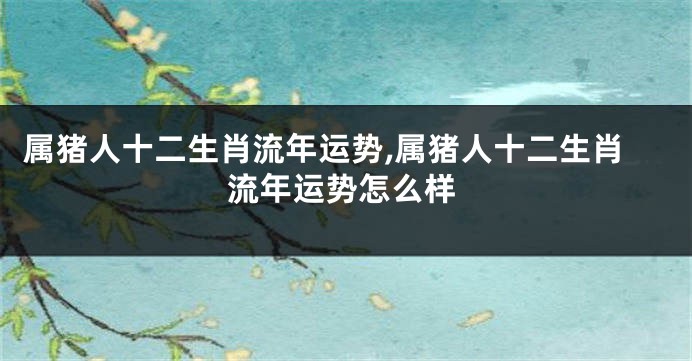 属猪人十二生肖流年运势,属猪人十二生肖流年运势怎么样