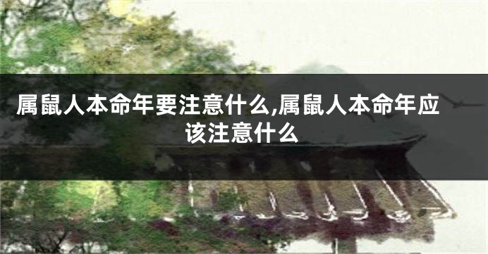 属鼠人本命年要注意什么,属鼠人本命年应该注意什么