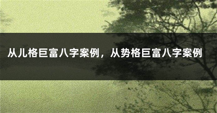 从儿格巨富八字案例，从势格巨富八字案例