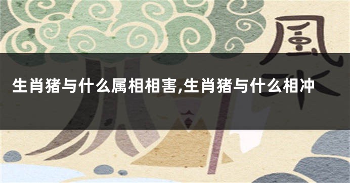 生肖猪与什么属相相害,生肖猪与什么相冲