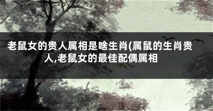 老鼠女的贵人属相是啥生肖(属鼠的生肖贵人,老鼠女的最佳配偶属相