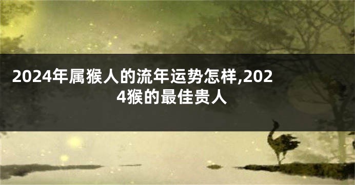 2024年属猴人的流年运势怎样,2024猴的最佳贵人