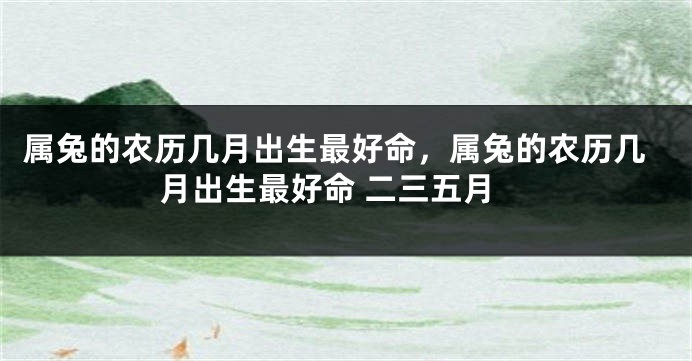 属兔的农历几月出生最好命，属兔的农历几月出生最好命 二三五月