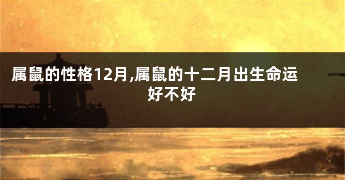 属鼠的性格12月,属鼠的十二月出生命运好不好