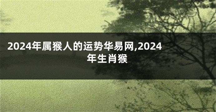2024年属猴人的运势华易网,2024年生肖猴