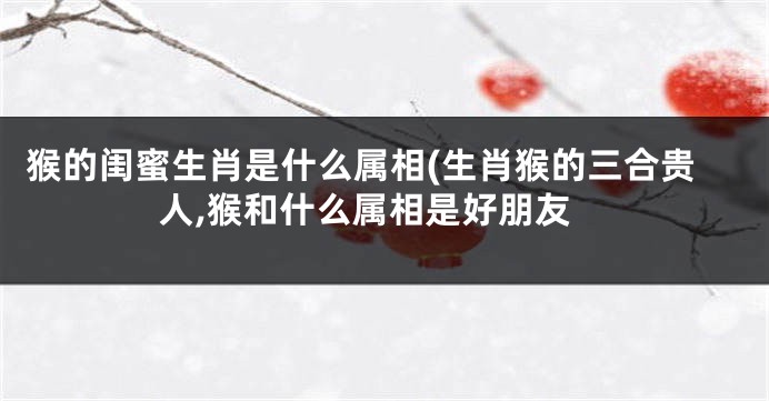 猴的闺蜜生肖是什么属相(生肖猴的三合贵人,猴和什么属相是好朋友