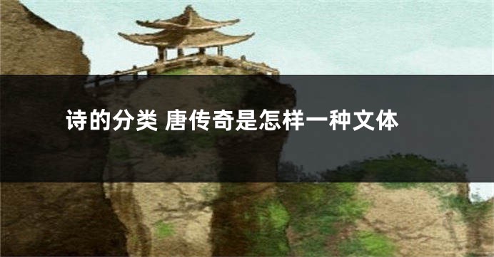 诗的分类 唐传奇是怎样一种文体