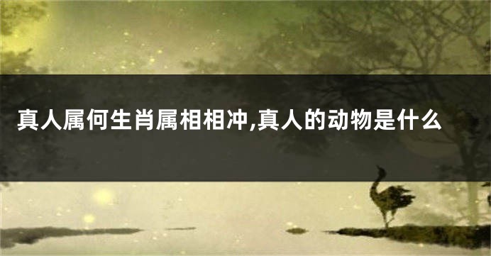真人属何生肖属相相冲,真人的动物是什么