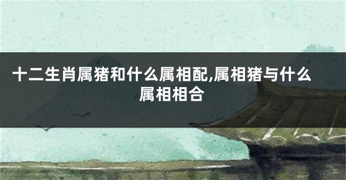 十二生肖属猪和什么属相配,属相猪与什么属相相合
