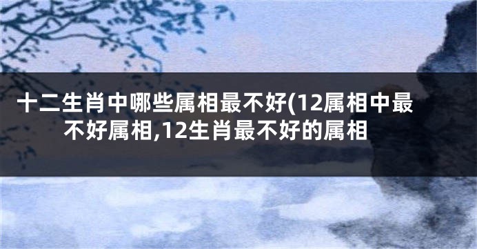 十二生肖中哪些属相最不好(12属相中最不好属相,12生肖最不好的属相