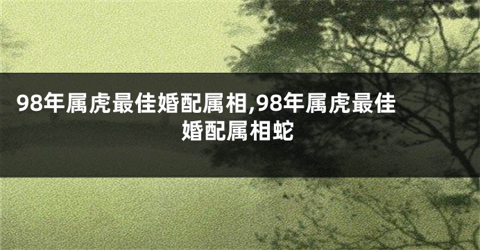98年属虎最佳婚配属相,98年属虎最佳婚配属相蛇