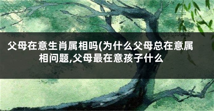 父母在意生肖属相吗(为什么父母总在意属相问题,父母最在意孩子什么