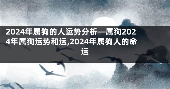 2024年属狗的人运势分析—属狗2024年属狗运势和运,2024年属狗人的命运